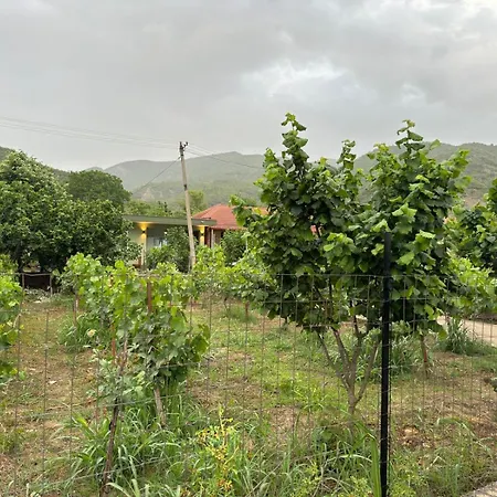 House Përmet