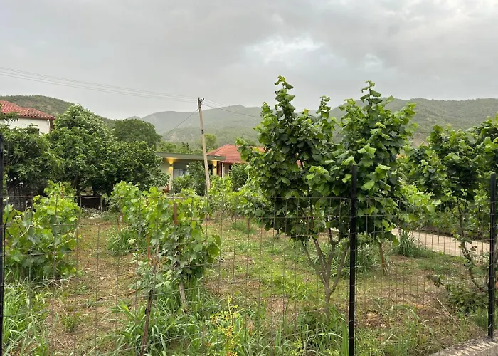 House Përmet