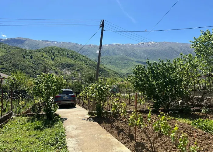 House Holiday home Permet